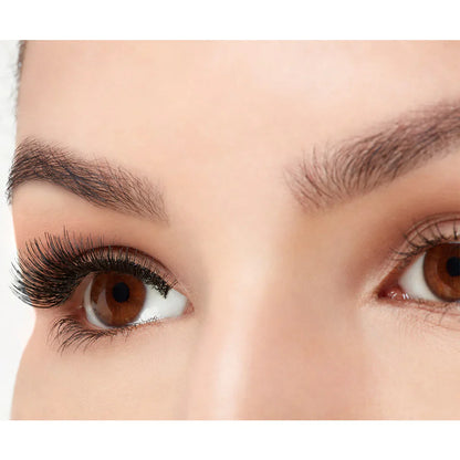 Lashes 105 Multipack (6 Pairs)